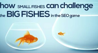 How Small Fishes Can Challenge the Big Fishes in the SEO Game