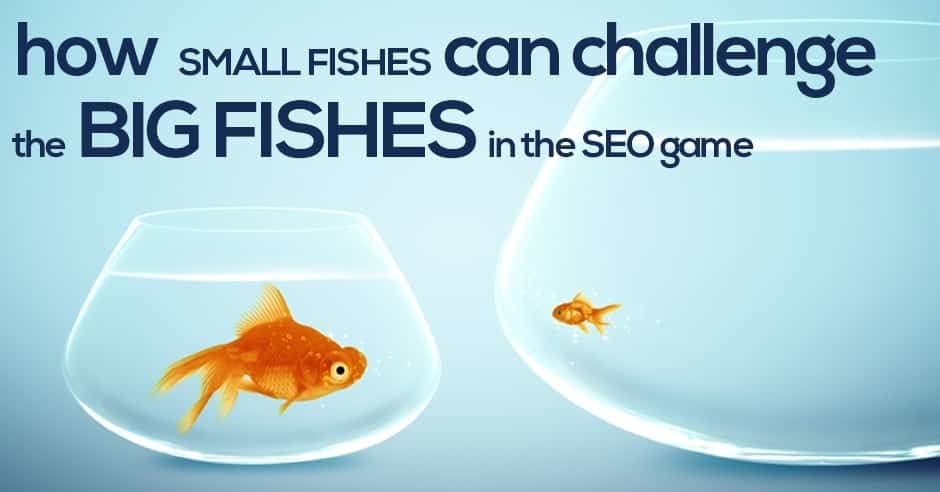 How-Small-Fishes-Can-Challenge-the-Big-Fishes-in-the-SEO-Game-1